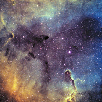 IC1396 - Steve Chambers