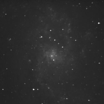 M33