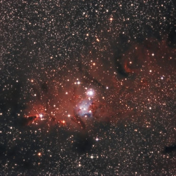 NGC2264 Christmas Tree Nebula