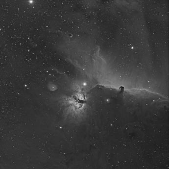 Horse Head Nebula Region