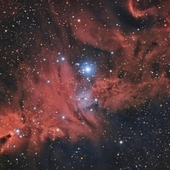 NGC 2264