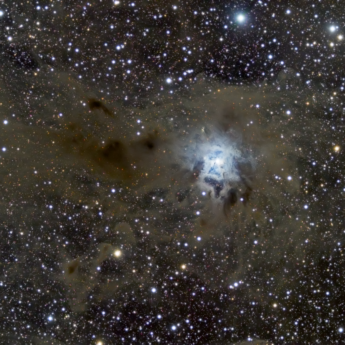 Iris Nebula in Cepheus - Ngc7023