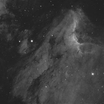 IC 5070 Pelican Nebula