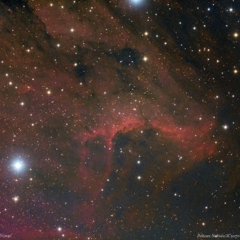 Pelican Nebula/ IC5070