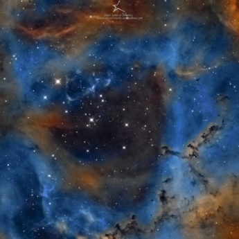 Rosette nebula in narrowband
