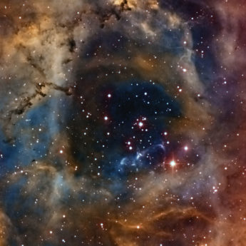 Orion Orion