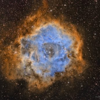 Rosette Nebula in SHO Palette