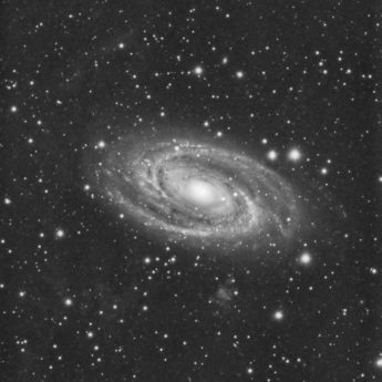 M81 in detail