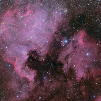 North America and Pelican Nebulae