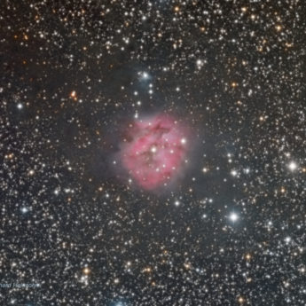 Cocoon Nebula
