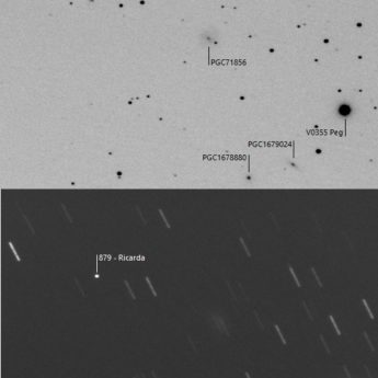 Asteroid 879 Ricarda & PGC71856