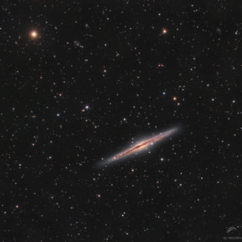 Ngc891