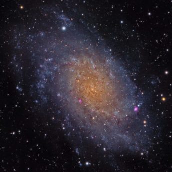 M33