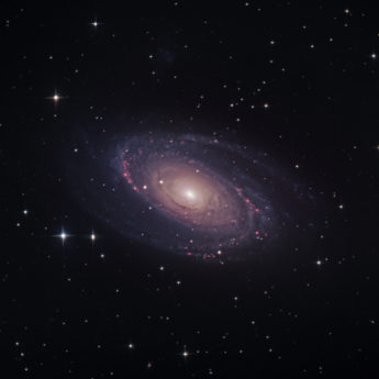M81