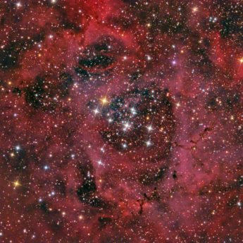 Rozette nebula
