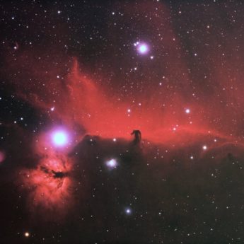 Horsehead Nebula and the Flame Nebula