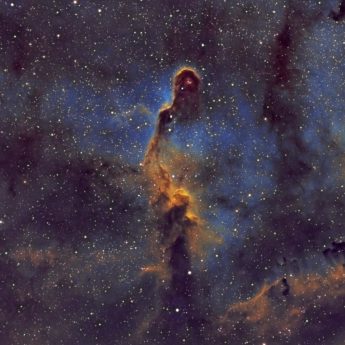 Elephants Trunk (IC1396)