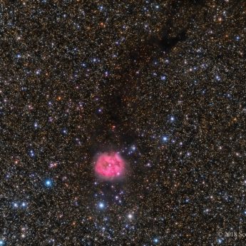 Cocoon Nebula