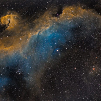 IC 2177 The Seagull Nebula