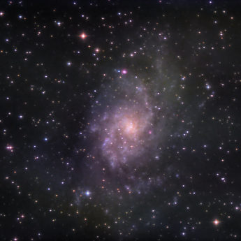 M33