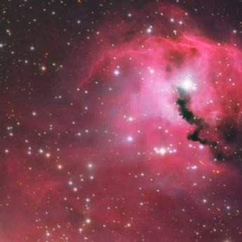 Parrot Head Nebula