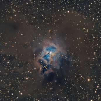 The Iris Nebula (NGC 7023 & LBN487)