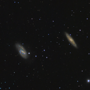 M66 and M65