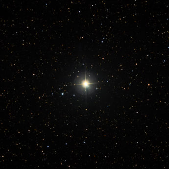 Canis Major - Procyon