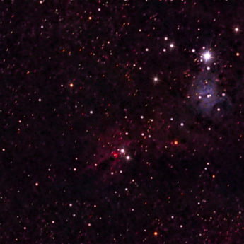 NGC 2264