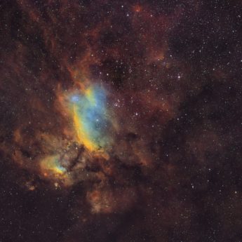 The Prawn Nebula in Narrowband