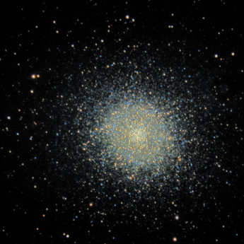 M13
