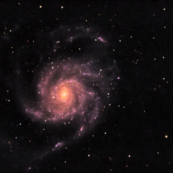 M101