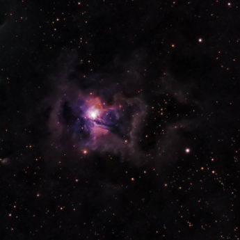 NGC 7023 - The Iris Nebula