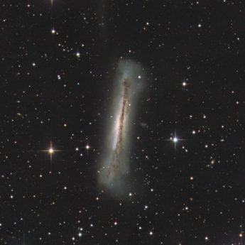 Hamburger galaxy, one from Leo trio