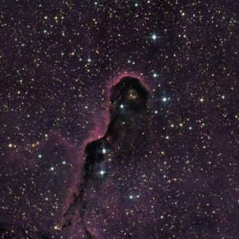 IC 1396 in HaRGB