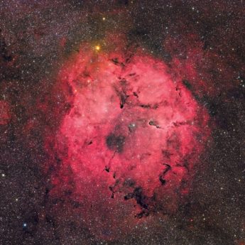 IC1396