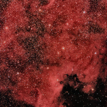 NGC 7000