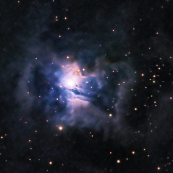 NGC 7023 - The Iris Nebula