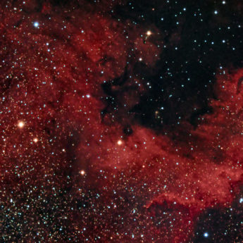 NGC 7000 - Cygnus Wall