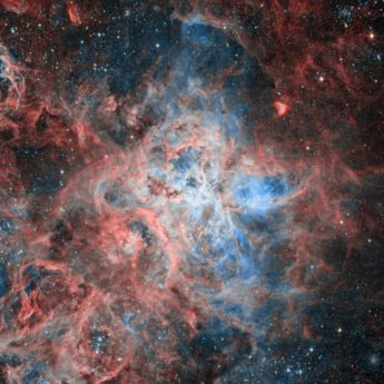 NGC 2070 The Tarantula Nebula
