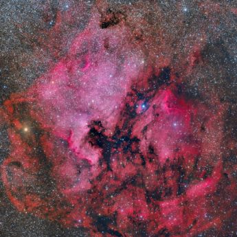NGC7000