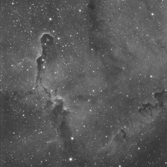 IC1396 in Ha