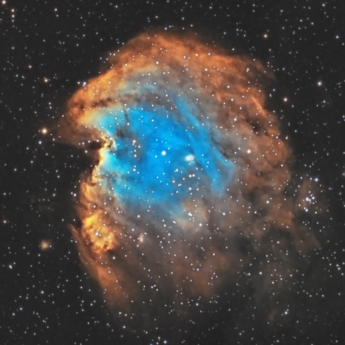 Monkey Head Nebula