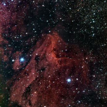 IC 5070 - The Pelican
