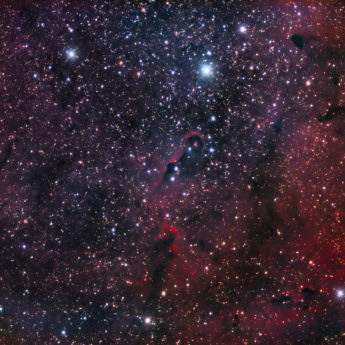 IC1396 - The E - Trunk