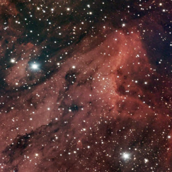 IC 5070 - Pelican