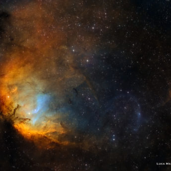 Sh2-101: The Tulip Nebula and Cygnus X-1 Bow Shock
