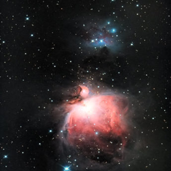 Orion