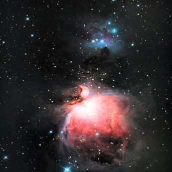 M42