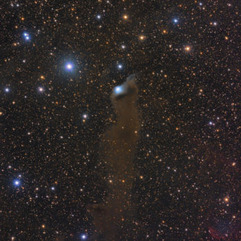 Dark Nebula B175